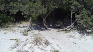 Cala Sabina