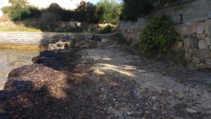 Spiaggia il Macello