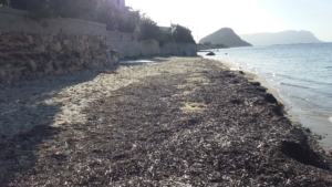 Spiaggia il Macello