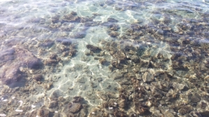 Spiaggia il Macello