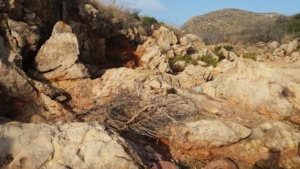 Cala Greca