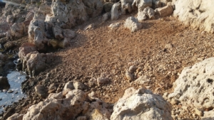Cala Greca