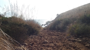 Cala Greca