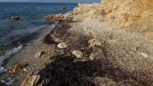 Quarta spiaggia di Cala Moresca