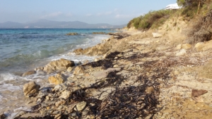 Spiaggia dei Baracconi