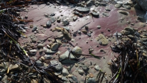 Spiaggia dei Baracconi