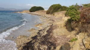 Spiaggia dei Baracconi