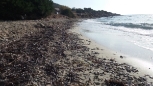 Spiaggia dei Baracconi