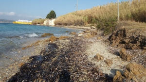 Spiaggia dei Baracconi