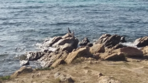 Seconda Spiaggia