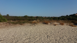 Spiaggia Nodu Pianu