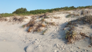 Spiaggia Nodu Pianu