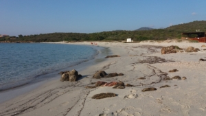 Spiaggia Cala Banana