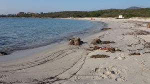 Spiaggia Cala Banana
