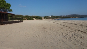 Spiaggia Sos Aranzos
