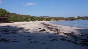 Spiaggia Sos Aranzos