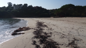 Spiaggia Sos Aranzos