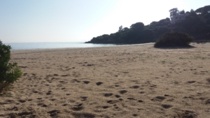 Spiaggia Sos Aranzos