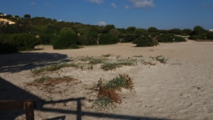 Spiaggia Sos Aranzos
