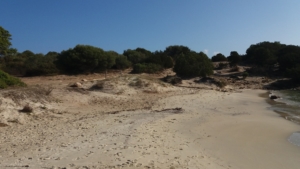 Spiaggia di Cala Sassari