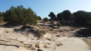 Spiaggia di Cala Sassari