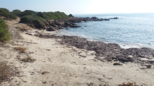 Spiaggia Punta Pedrosa Terrata