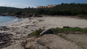 Spiaggia Punta Pedrosa Terrata