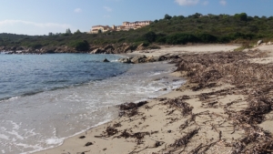 Spiaggia Punta Pedrosa Terrata