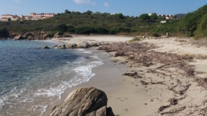 Spiaggia Punta Pedrosa Terrata