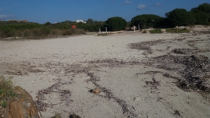 Spiaggia Punta Pedrosa Terrata