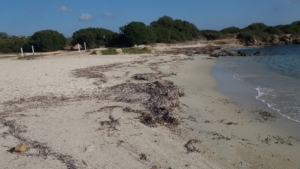 Spiaggia Punta Pedrosa Terrata
