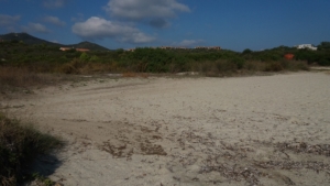 Spiaggia Punta Pedrosa Terrata