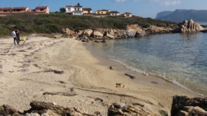 Spiaggia di Cala Delfino