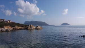 Spiaggia di Cala Delfino