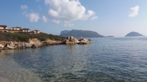 Spiaggia di Cala Delfino