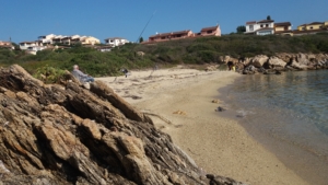 Spiaggia di Cala Delfino