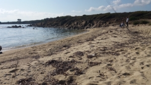 Spiaggia di Cala Delfino