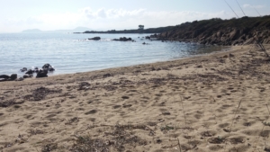 Spiaggia di Cala Delfino