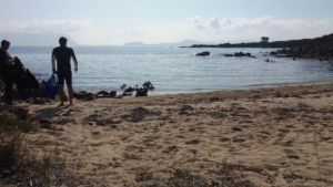 Spiaggia di Cala Delfino