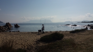 Spiaggia di Cala Delfino