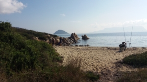 Spiaggia di Cala Delfino
