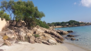 Quinta Spiaggia
