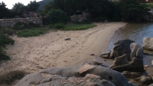Punta Marana