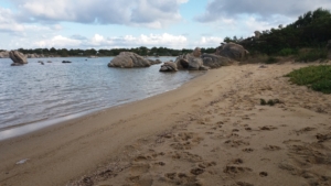 Punta Marana