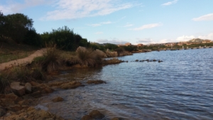 Punta Marana