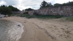 Punta Marana