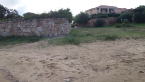 Punta Marana